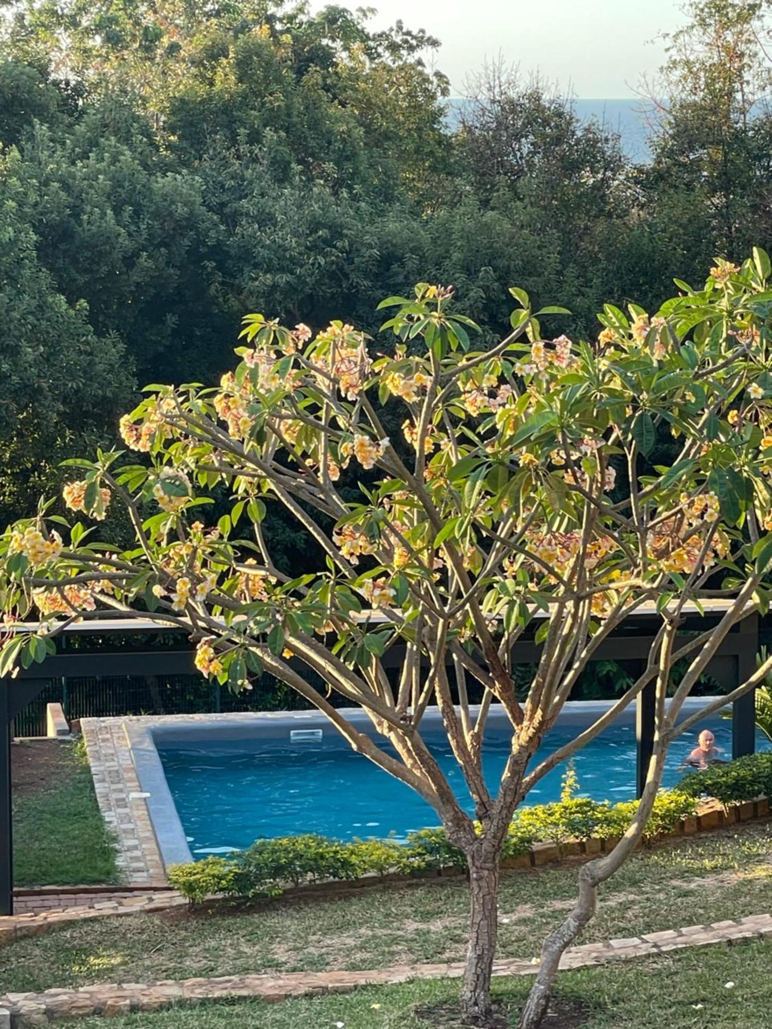 Lodges Cap Dore Andilana Exterior foto